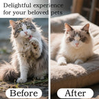 Final 3 Hours: 60%OFF 🔥4-in-1 Pet Steam Spray Comb for Detangling and Deshedding - No Bath Needed, Specialized Cat and Dog Grooming Brush